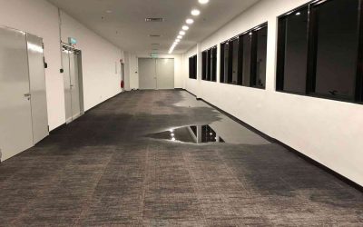 Emergency Carpet Damage Restoration in Tucson – Fast Water Extraction and Complete Drying