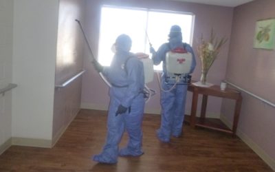 COVID-19 Cleaning Services